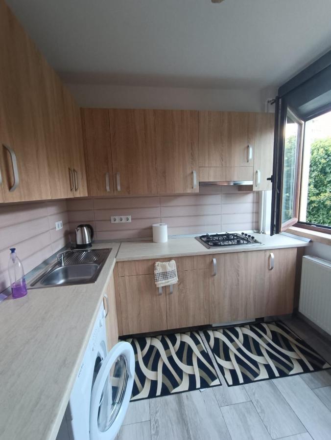 Daylight Apartments Сибиу Экстерьер фото